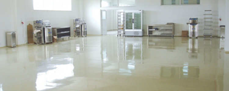 Self-Levelling Production Plants Flooring Systems