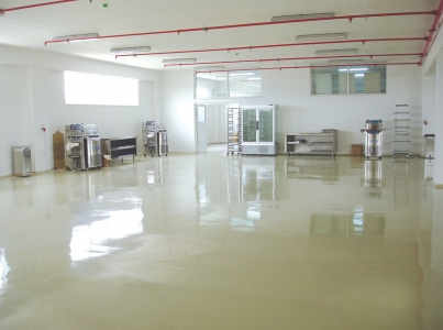 Self-Levelling Production Plants Flooring Systems