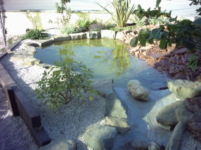 Ponds, Fish Tank Waterproofing